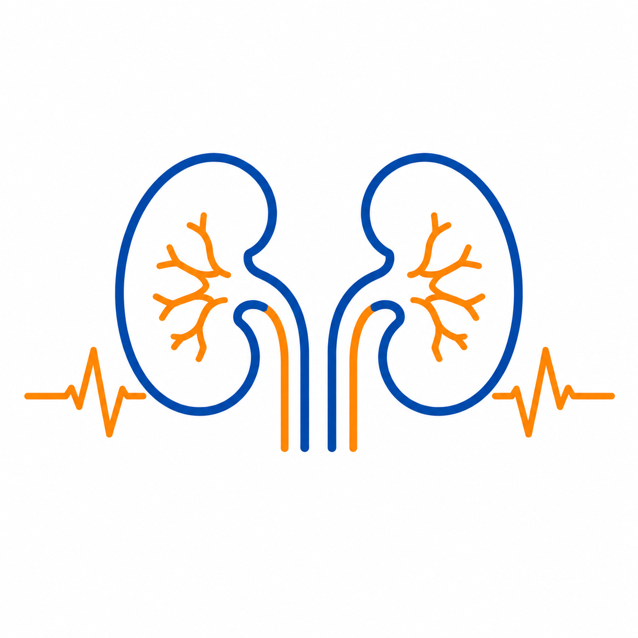 Kidney icon